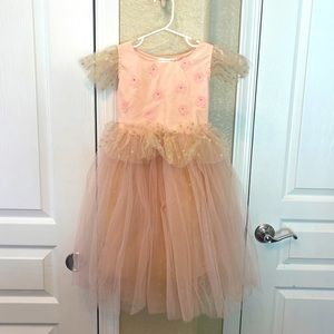 Pottery Barn Pink Light Up Fairy Costume